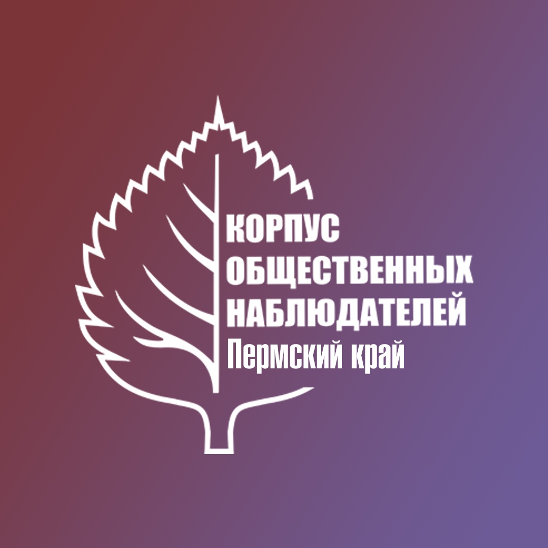 «Корпус общественных наблюдателей» в Пермском крае